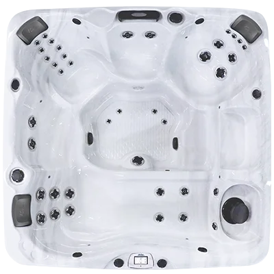 Avalon-X EC-840LX hot tubs for sale in Port Orange