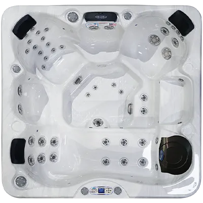 Avalon EC-849L hot tubs for sale in Port Orange