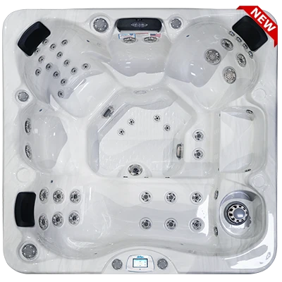 Avalon-X EC-849LX hot tubs for sale in Port Orange