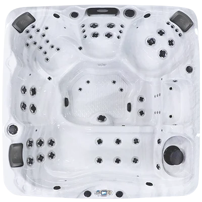 Avalon EC-867L hot tubs for sale in Port Orange