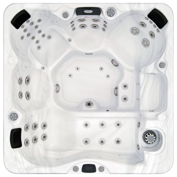 Avalon-X EC-867LX hot tubs for sale in Port Orange