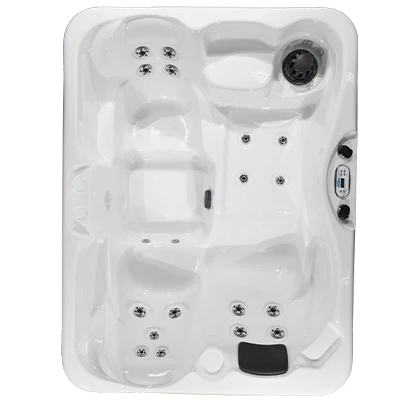 Kona PZ-519L hot tubs for sale in Port Orange